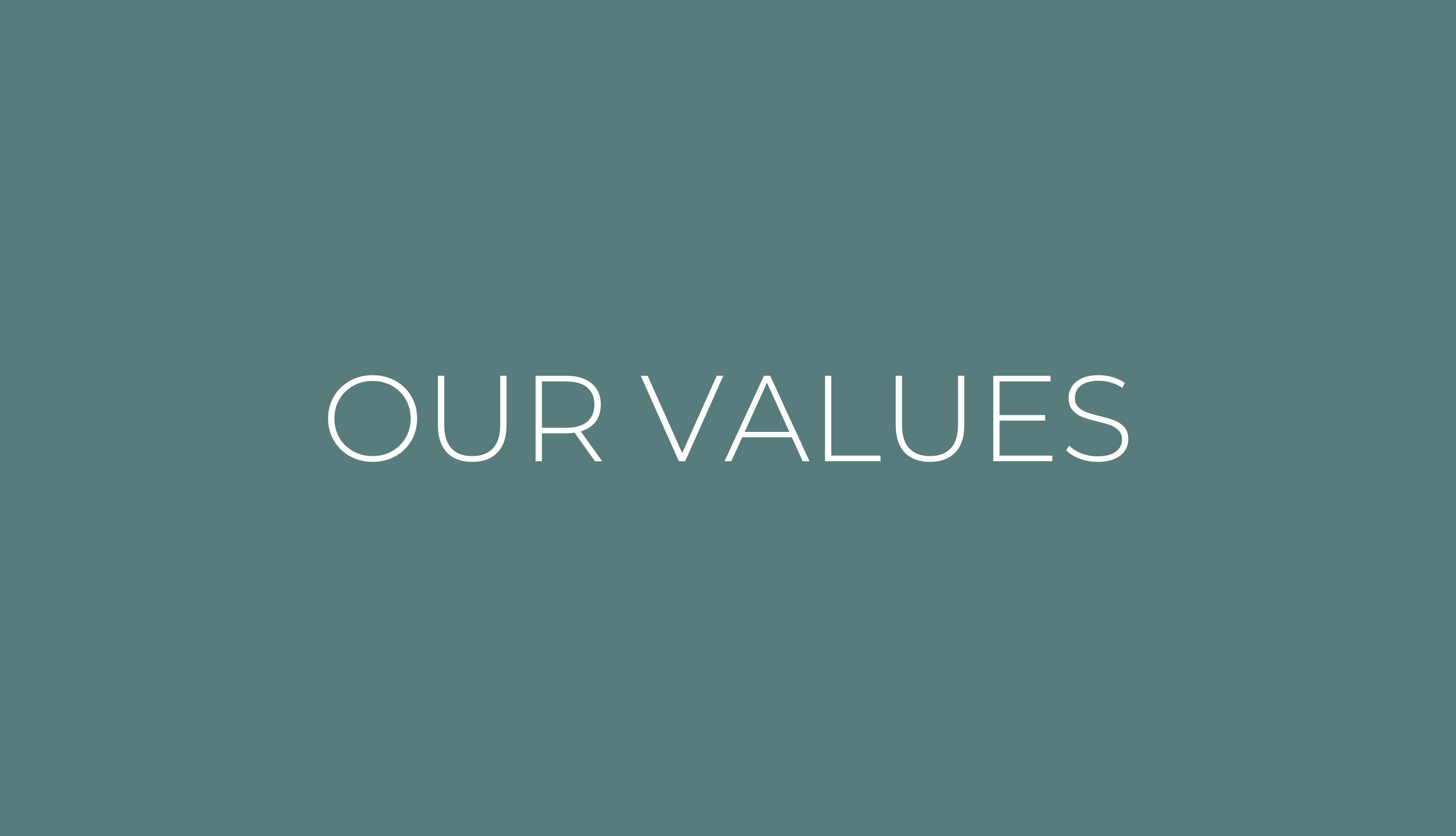 OUR VALUES